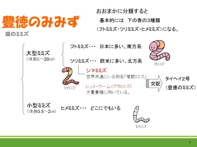 ミミズの生態 株式会社豊徳