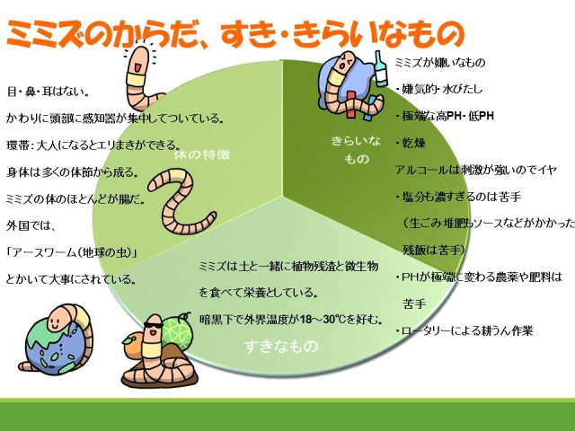 ミミズの生態 株式会社豊徳